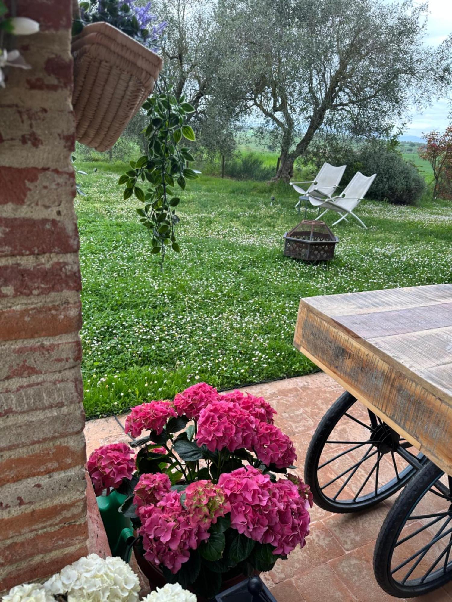 Villa Bellora Cortona Exterior photo